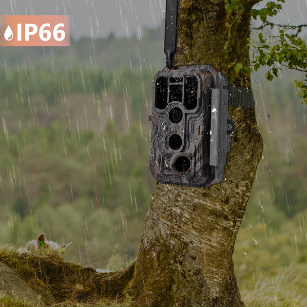 4G Jagdkamera Solar - 14MP Wildkamera Mit Farb-Nachtsicht & App