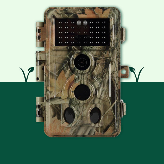 Erweiterte Wildkameras A262 BlazeVideo Switzerland