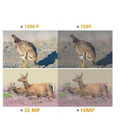 Wildtierkamera Jagd 32MP 2304*1296p mit Bewegungsmelder Nachtsicht Max. Entfernung bis 90 Füße, 0,1s Schnelle Trigger Geschwindigkeit，IP66 Wasserdichter| A262