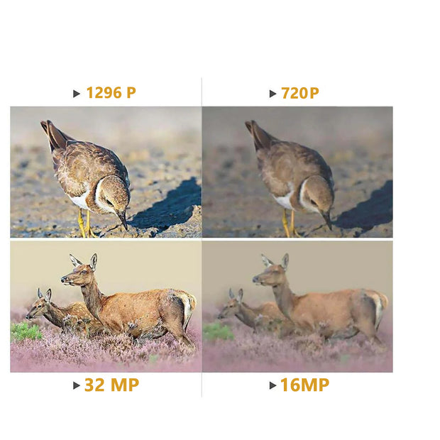 Wildtierkamera Jagd 32MP 2304*1296p mit Bewegungsmelder Nachtsicht Max. Entfernung bis 90 Füße, 0,1s Schnelle Trigger Geschwindigkeit，IP66 Wasserdichter| A262