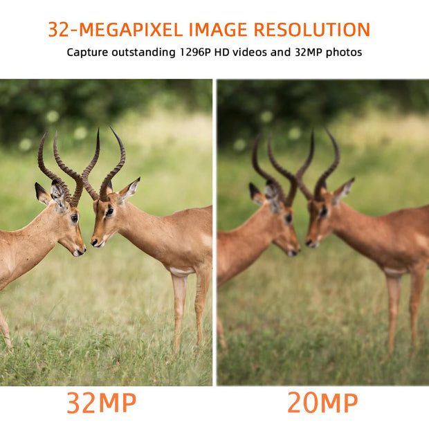 5-tlg. Wildtierkamera 32MP 1296p mit Bewegungsmelder Nachtsicht Max. Entfernung bis 90 Füße, 0,1s Trigger Geschwindigkeit，IP66 Wasserdichter| A262