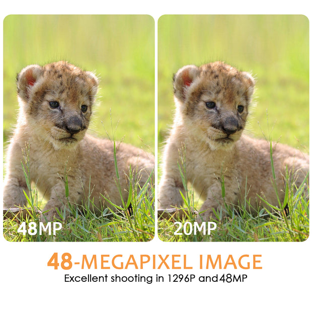 Wildkamera Wlan Fotofalle Jagdkamera Wildtierkamera 64MP 1296P 0,1s Schnelle Trigger Geschwindigkeit Nachtsicht Bewegungsmelder 120°PIR IP66 Wasserdichter | A280W Grün