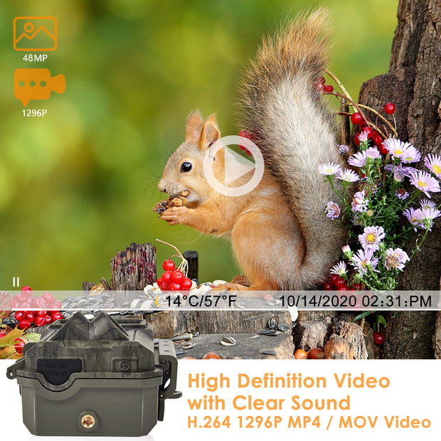 Wildkamera Wlan Fotofalle Jagdkamera Wildtierkamera 64MP 1296P 0,1s Schnelle Trigger Geschwindigkeit Nachtsicht Bewegungsmelder 120°PIR IP66 Wasserdichter | A280W Grün