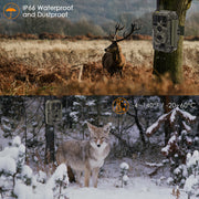 Wildkamera Wlan Fotofalle Jagdkamera Wildtierkamera 64MP 1296P 0,1s Schnelle Trigger Geschwindigkeit Nachtsicht Bewegungsmelder 120°PIR IP66 Wasserdichter | A280W Grün