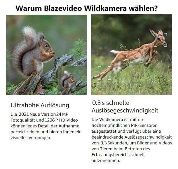 2 tlg. Wildkamera 24MP 1296p mit Bewegungsmelder Nachtsicht Maximale Entfernung bis 75Füße, 0,3s Trigger Geschwindigkeit , IP66 Wasserdichter| A252
