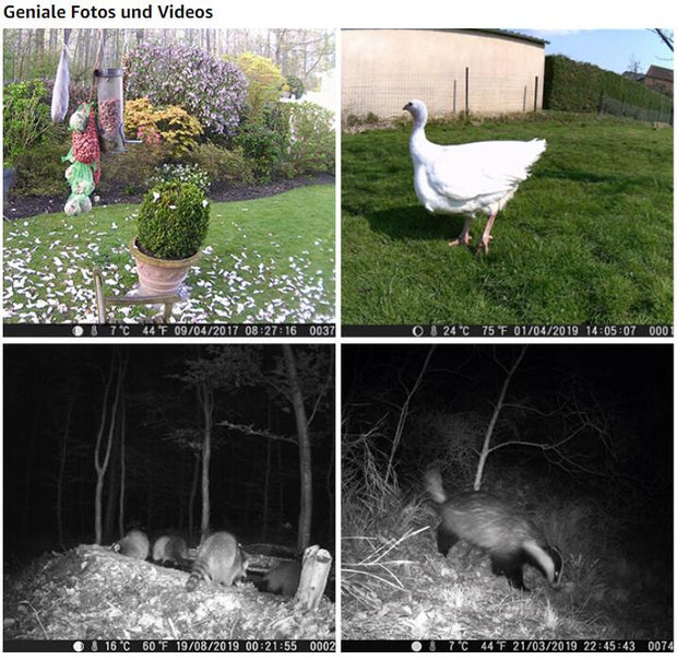 Fotofalle 32MP 2304*1296p mit Bewegungsmelder Nachtsicht Max. Entfernung bis 75Füße, 0,3s Schnelle Trigger Geschwindigkeit , IP66 Wasserdichter| A252