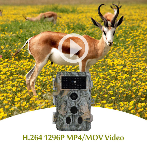 2-tlg. Wildkamera 32MP 2306*1296p mit Bewegungsmelder Nachtsicht Max. Entfernung bis 90 Füße, 0,1s Trigger Geschwindigkeit，IP66 Wasserdichter| A262