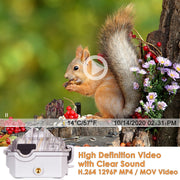 2-tlg. Wildkamera Wlan Fotofalle Jagdkamera Wildtierkamera 32MP 1296P 0,1s Schnelle Trigger Geschwindigkeit Nachtsicht Bewegungsmelder 110°PIR IP66 Wasserdichter | A350W Grau