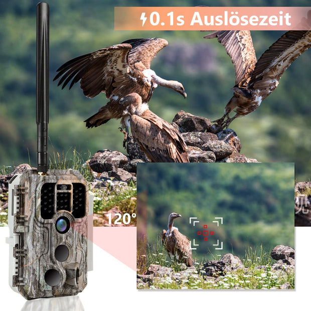 2-tlg. 4G LTE Wildkamera Fotofalle Wildtierkamera mit SIM-Karte 120° Bewegungserkennung 32MP 1296P Nachtsicht IP66 wasserdicht und 32GB SD Karte A390G Grey