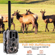 Bundle 4G LTE Wildkamera Wildtierkamera Jagdkamera 32MP mit SIM-Karte und 32GB Speicherkarte und Solarpanel-Kits A390G