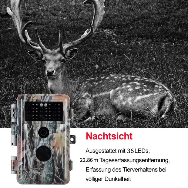 4-tlg. Jagdkamera 24MP 1296p mit Bewegungsmelder Nachtsicht Maximale Entfernung bis 75Füße, 0,3s Trigger Geschwindigkeit , IP66 Wasserdichter| A252