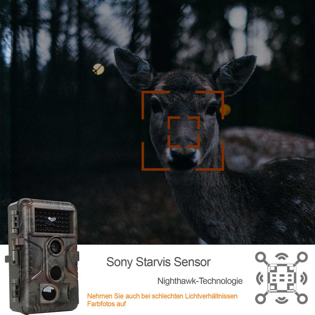 Bundle Wildkamera Wildtierkamera Jagdkamera A323 64MP 2304*1296p + Solarpanel-Kits 3W 8000mAh 12V/9V/6V Ausgangsspannung