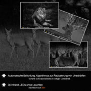Bundle Wildkamera Wildtierkamera Jagdkamera A323 64MP 2304*1296p + Solarpanel-Kits 3W 8000mAh 12V/9V/6V Ausgangsspannung