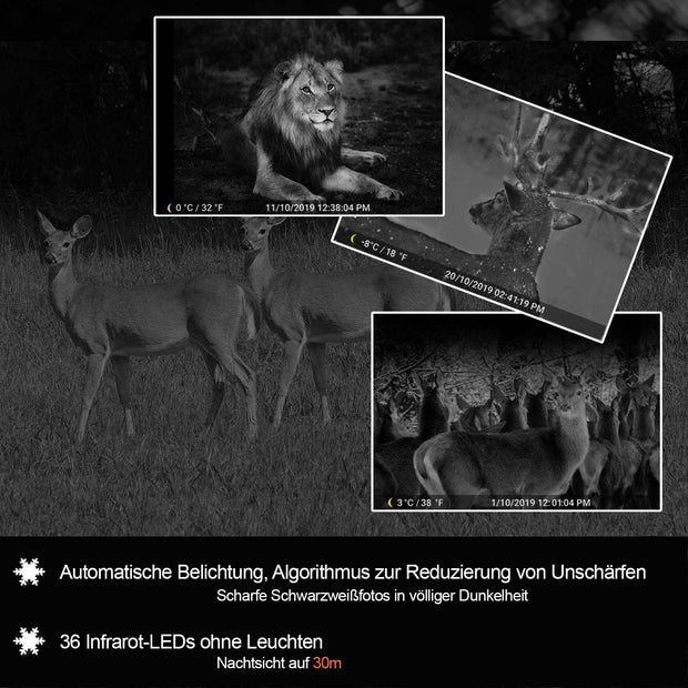 Bundle Wildkamera Wildtierkamera Jagdkamera A323 64MP 2304*1296p + Solarpanel-Kits 3W 8000mAh 12V/9V/6V Ausgangsspannung