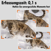 Bundle Wildkamera Wildtierkamera Jagdkamera A323 64MP 2304*1296p + Solarpanel-Kits 3W 8000mAh 12V/9V/6V Ausgangsspannung