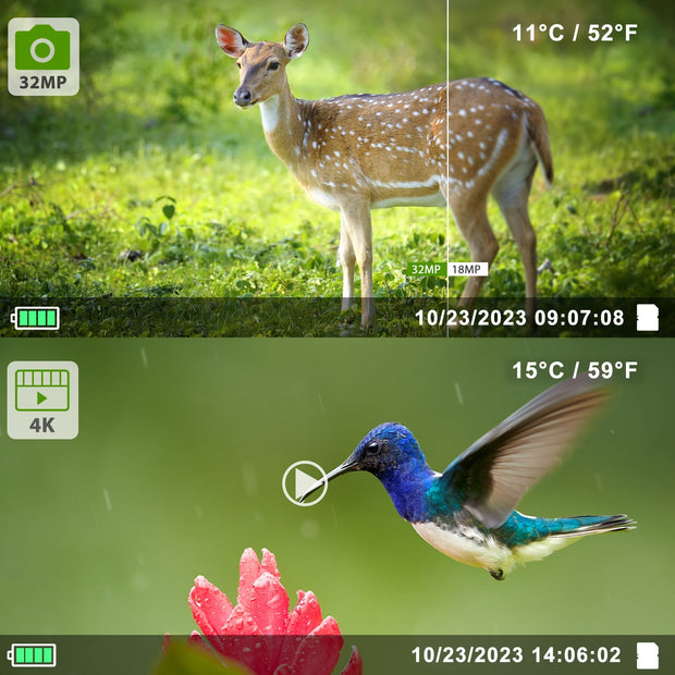 2-tlg. Wildkamera 32MP Foto 4K 2160P Full HD Video mit Audio und Bewegungsmelder Nachtsicht max. Entfernung bis zu 100ft, 0,1s Auslösegeschwindigkeit, Wasserdicht IP66 | T326 Grün