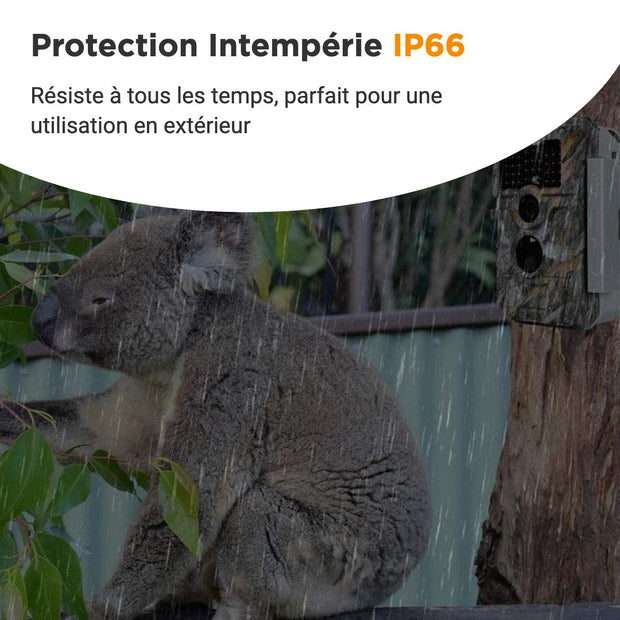 2-tlg. Wildkamera Wlan Fotofalle Jagdkamera Wildtierkamera 32MP 1296P 0,1s Schnelle Trigger Geschwindigkeit Nachtsicht Bewegungsmelder 110°PIR IP66 Wasserdichter | W600 Braun