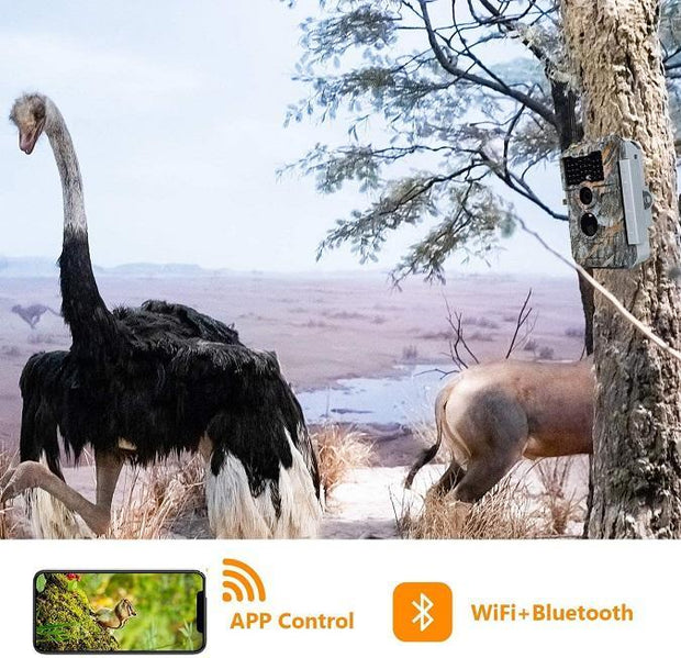 Bundle Wildkamera Wildtierkamera Jagdkamera Wlan 32MP 1296P 0,1s Auslöserzeit Bewegungsmelder 110°PIR und Solarpanel-Kits 8000mAh 12V/9V/6V| W600 Braun