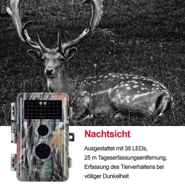 5-tlg. Wildkamera 24MP 2304*1296p mit Bewegungsmelder Nachtsicht Max. Entfernung bis 75Füße, 0,3s Trigger Geschwindigkeit , IP66 Wasserdichter| A252