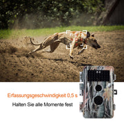 5-tlg. Wildkamera 24MP 2304*1296p mit Bewegungsmelder Nachtsicht Max. Entfernung bis 75Füße, 0,3s Trigger Geschwindigkeit , IP66 Wasserdichter| A252