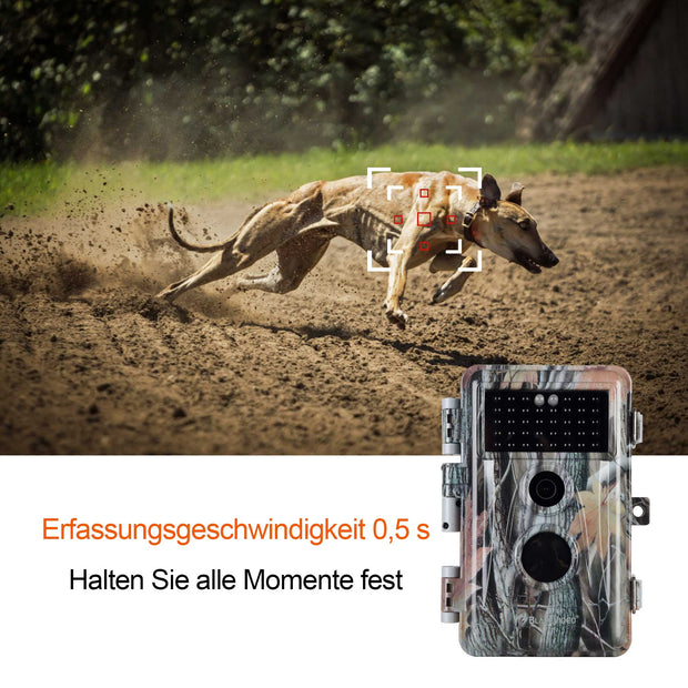 5-tlg. Wildkamera 24MP 2304*1296p mit Bewegungsmelder Nachtsicht Max. Entfernung bis 75Füße, 0,3s Trigger Geschwindigkeit , IP66 Wasserdichter| A252